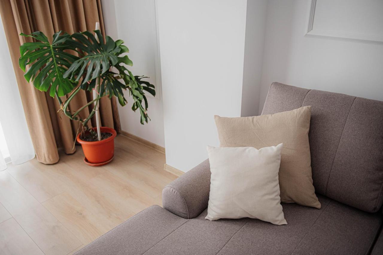 Modern Apartment In 蒂米什瓦拉 外观 照片