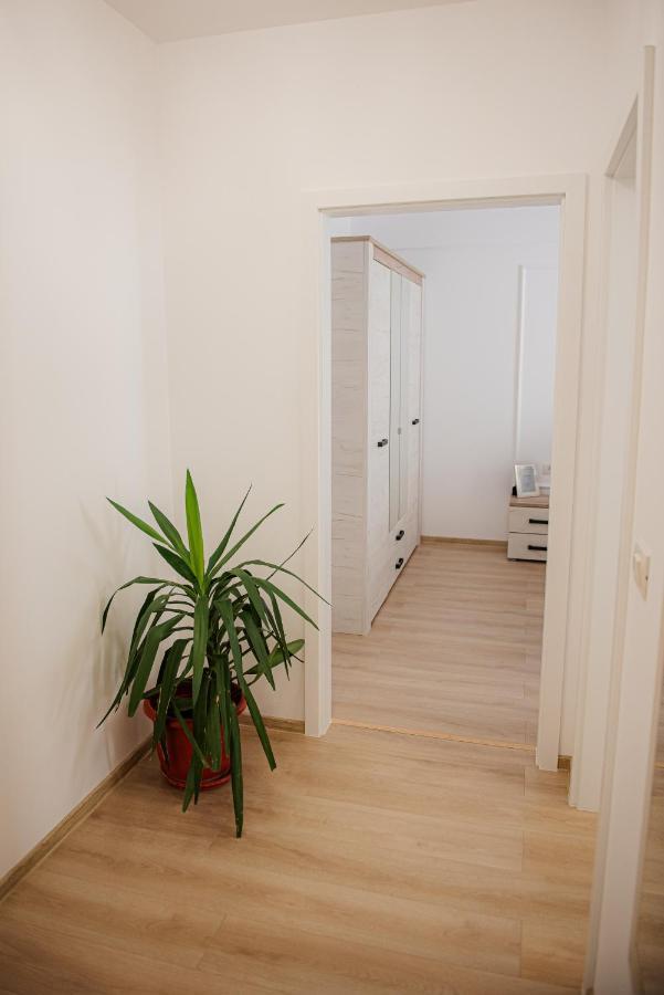 Modern Apartment In 蒂米什瓦拉 外观 照片